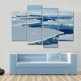 Antarctic Pack Ice Canvas Wall Art