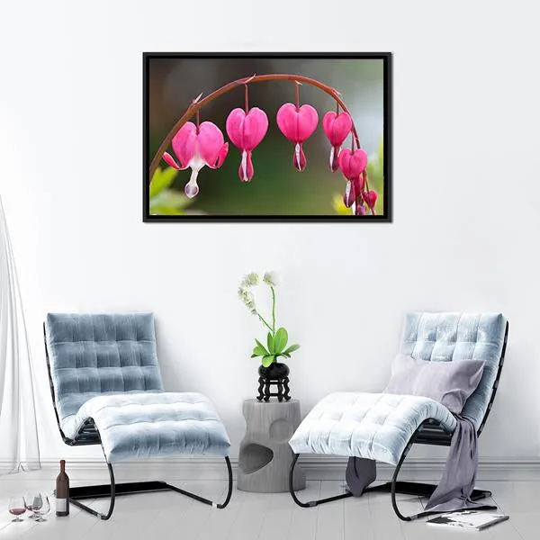 Bleeding Heart Flowers Canvas Wall Art