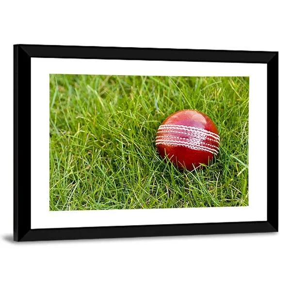 Cricket Ball Canvas Wall Art