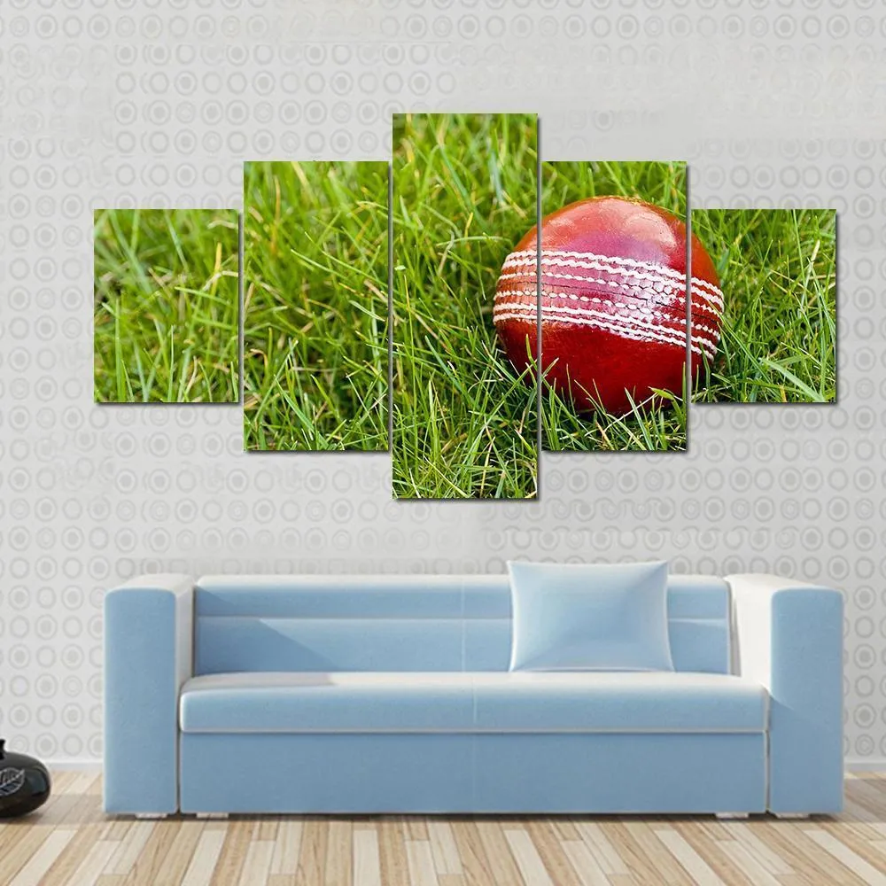 Cricket Ball Canvas Wall Art