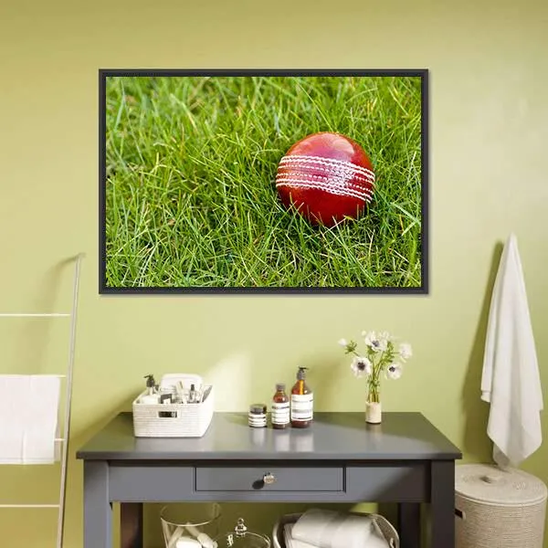 Cricket Ball Canvas Wall Art