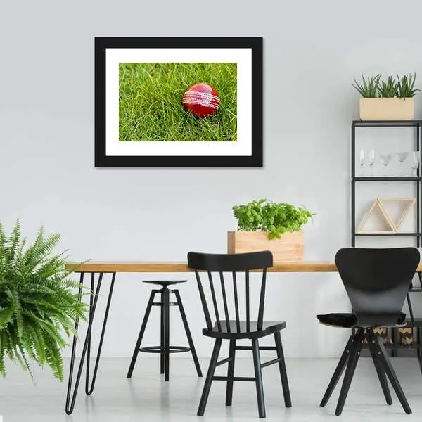 Cricket Ball Canvas Wall Art