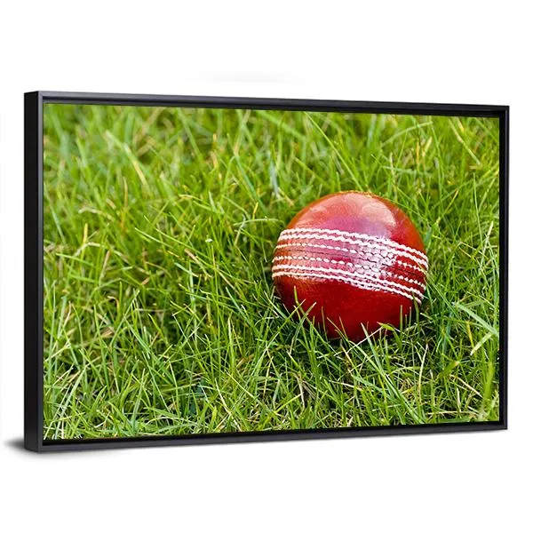 Cricket Ball Canvas Wall Art