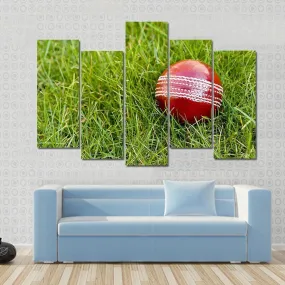 Cricket Ball Canvas Wall Art