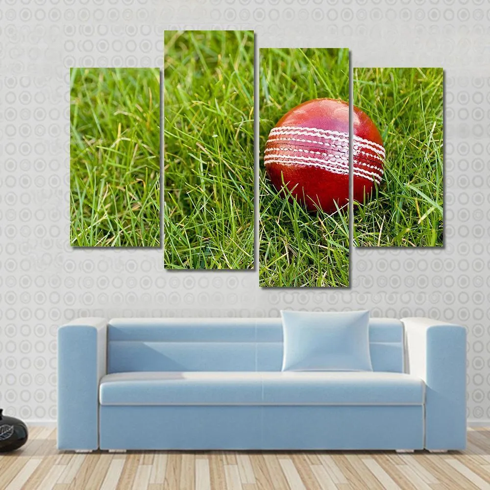 Cricket Ball Canvas Wall Art