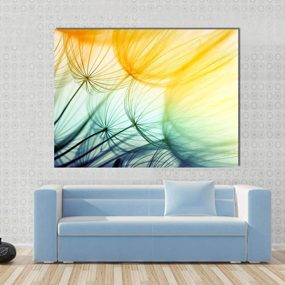 Dandelion Seed In Sunlight Canvas Wall Art