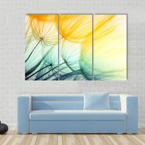 Dandelion Seed In Sunlight Canvas Wall Art