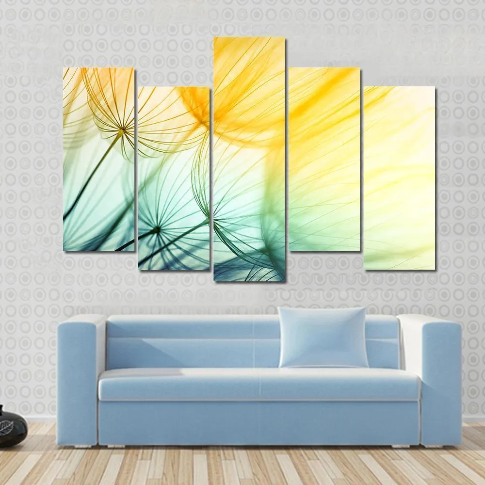 Dandelion Seed In Sunlight Canvas Wall Art