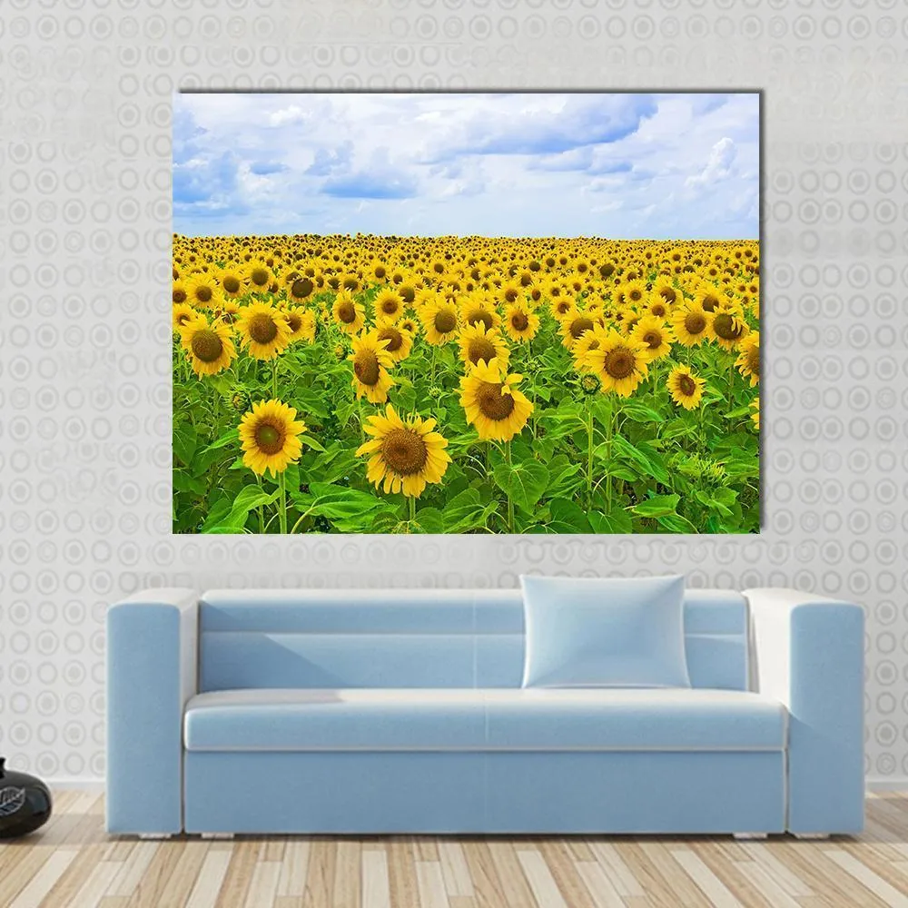 Field Of Sunflower Canvas Wall Art