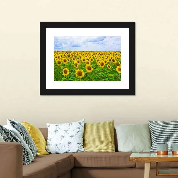 Field Of Sunflower Canvas Wall Art