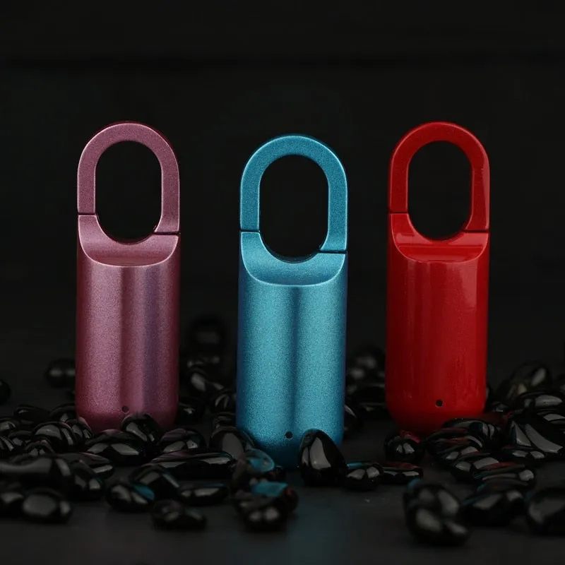 Mini Electronic USB Fingerprint Padlock